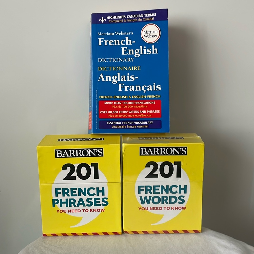 Barrons 201 French words & 291 French phrase flashcards and French dictionary
